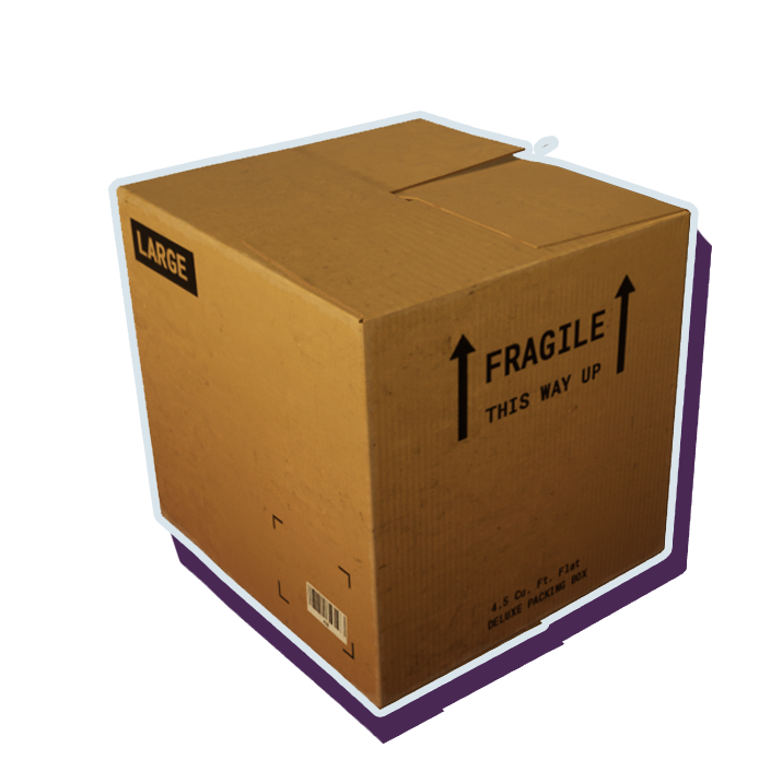 Cardboard Box L